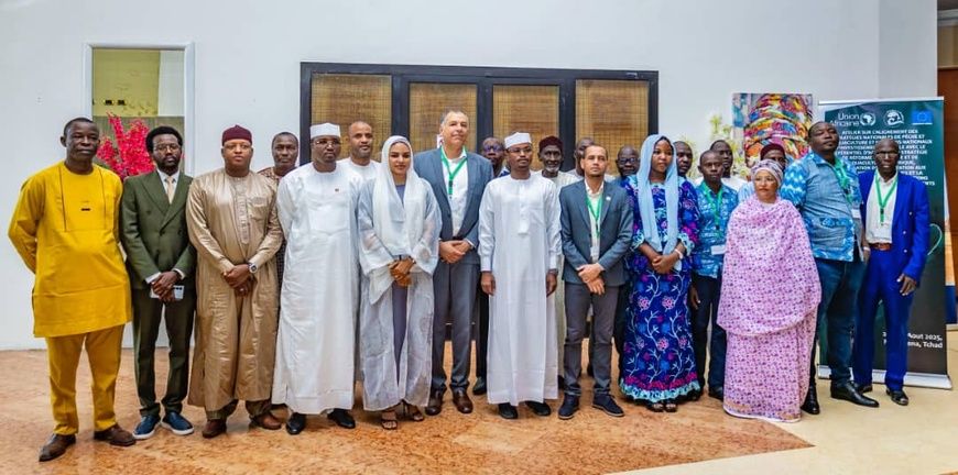 تشاد: الاتحاد الإفريقي ووزارة البيئة ينظمان ورشة تدريبية حول تطوير قطاع الصيد