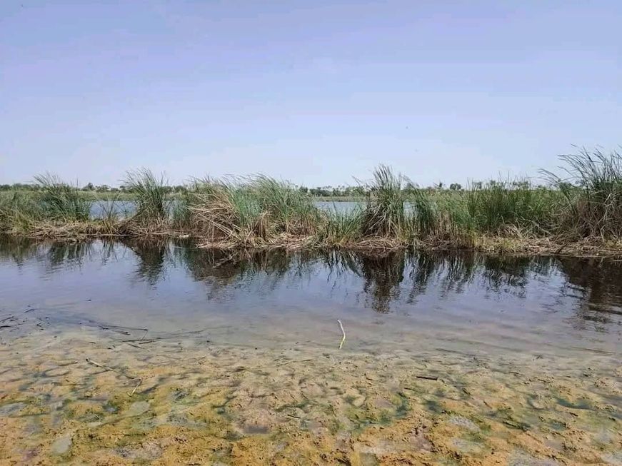 Tchad : affrontement meurtrier autour d’un champ à 60km de Mao