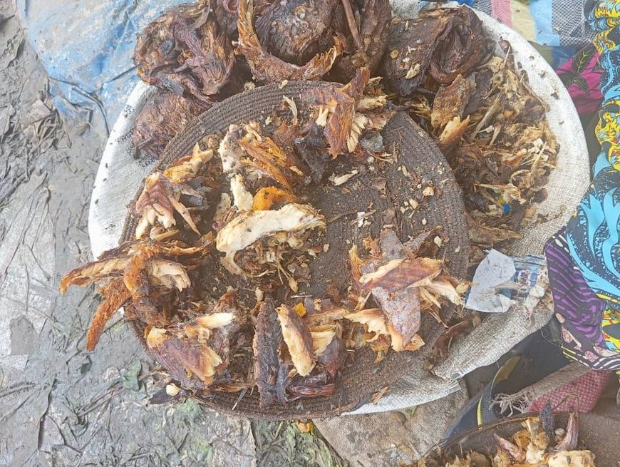 Tchad : L'insalubrité du poisson séché au marché de Dembé