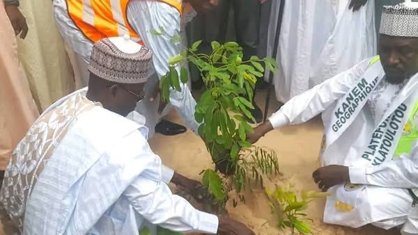 Tchad : Campagne de reboisement pour lutter contre la désertification