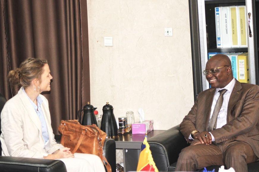 Coopération Tchad-Allemagne : des projets énergétiques à Kélo et Pala