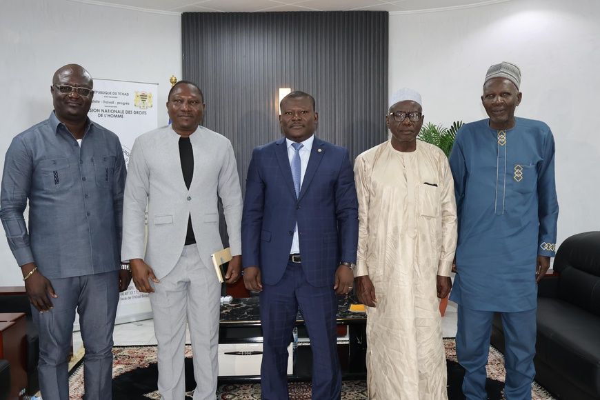 Tchad : Audience accordée par la CNDH au représentant du HCDH