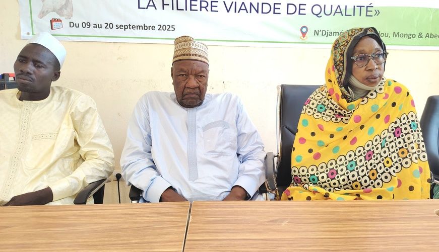 ​Tchad : À Abéché, un atelier de formation des jeunes champions de la filière viande de qualité