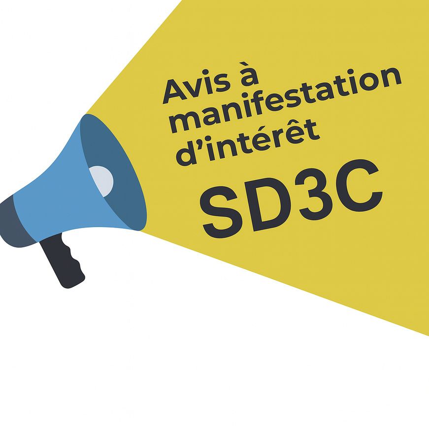Tchad : Recrutement d'un Consultant National pour la réalisation d'une étude sur les modalités de paiement (Programme SD3C)