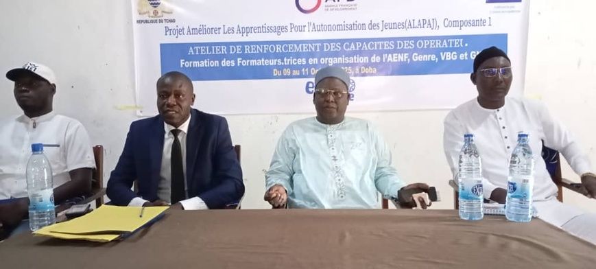 Tchad : Formation à Doba pour l'autonomisation des jeunes (Projet ALAPAJ)
