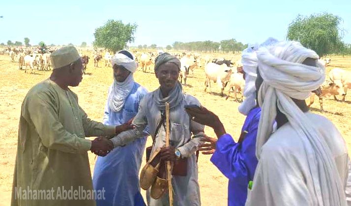 Tchad : le sous-préfet de Am-Habilé en mission sur les couloirs de transhumance pour prévenir les conflits