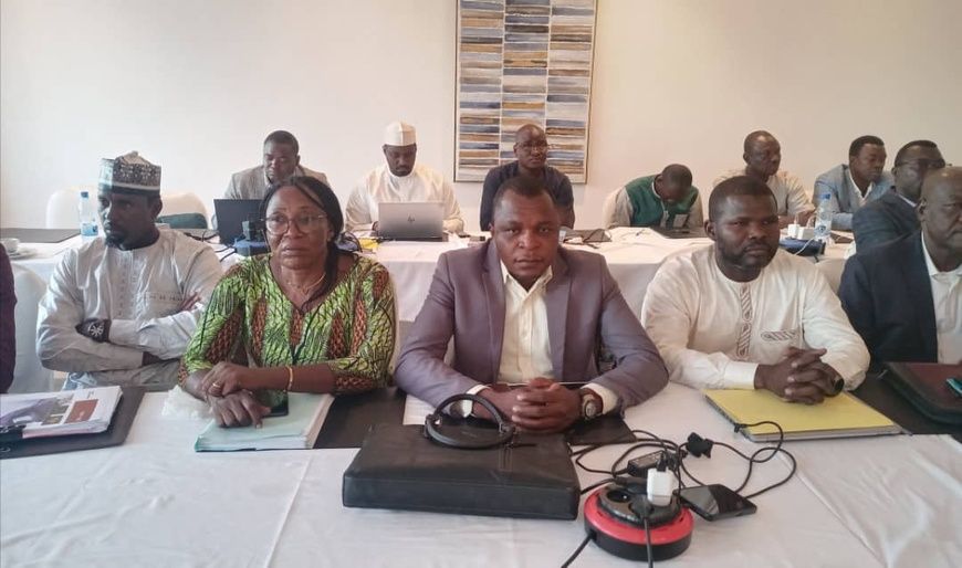 Tchad : Fin d'atelier de validation de la politique minière et du plan stratégique de développement du secteur minier