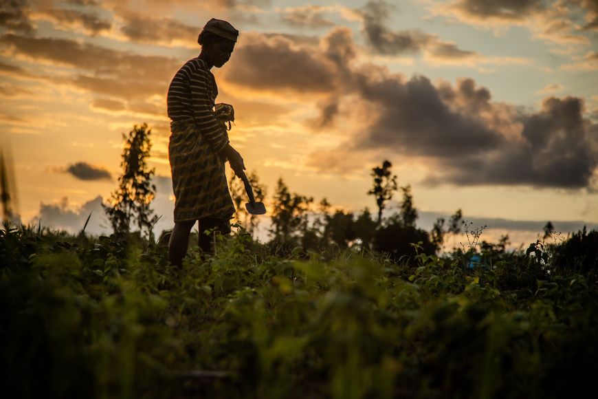 Afrique : La BAD accorde un don de six millions $ pour le renforcement des capacités et le financement des risques de catastrophes