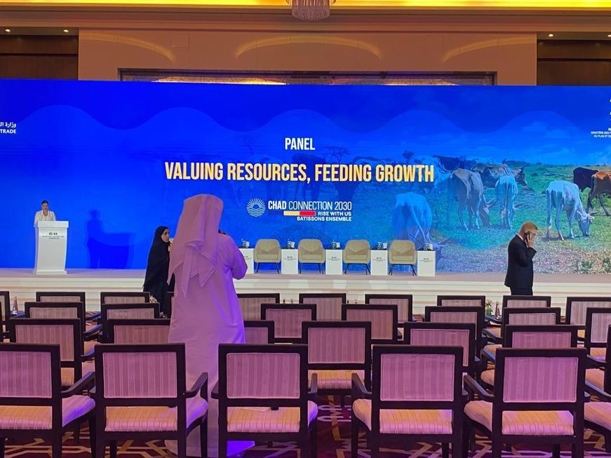 De Paris à Abu Dhabi : le Tchad à la recherche d’un vrai décollage économique avec le PND