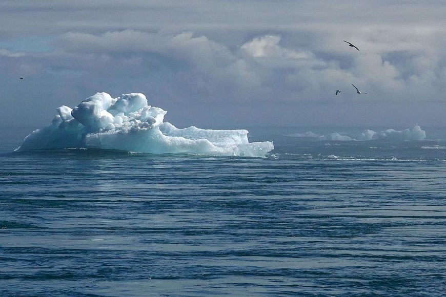 Le changement climatique polaire pourrait amplifier les risques sanitaires mondiaux, selon une étude
