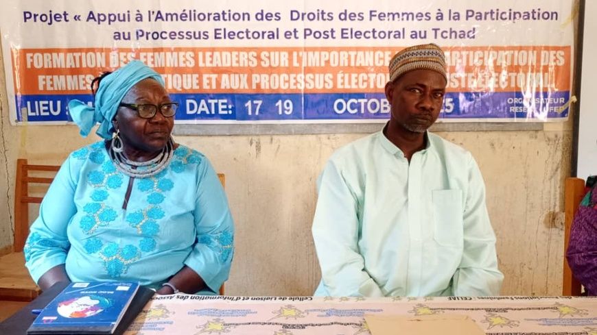 Tchad : au Guéra, formation de 30 femmes des partis politiques à Mongo