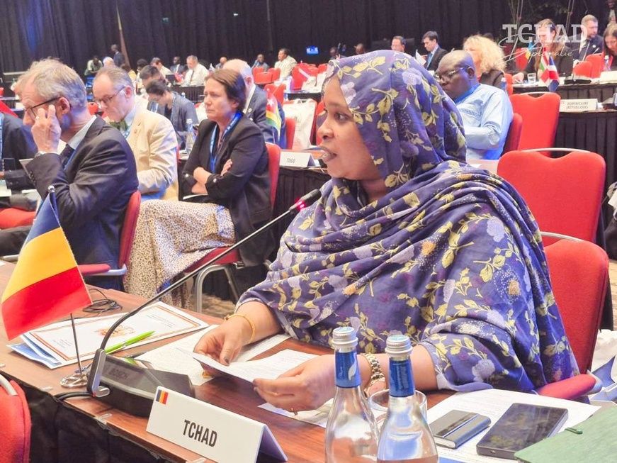 Francophonie : La Ministre déléguée Fatimé Aldjineh Garfa porte la voix du Tchad à la 46e conférence ministérielle