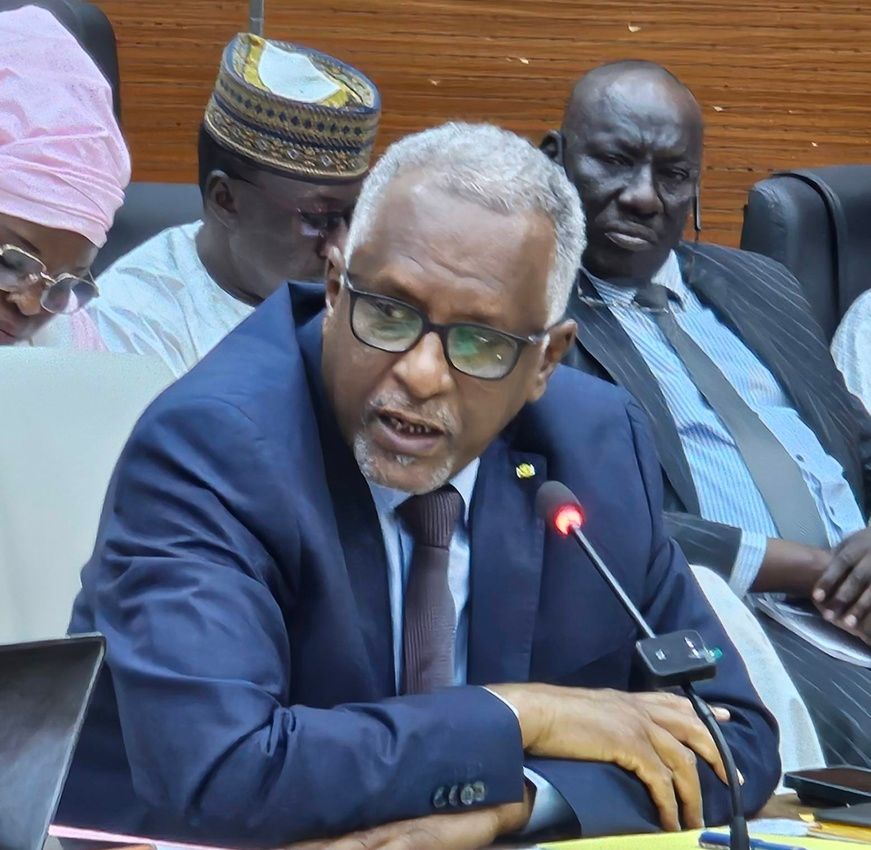 Tchad : Le ministre de l’Éducation nationale face aux sénateurs