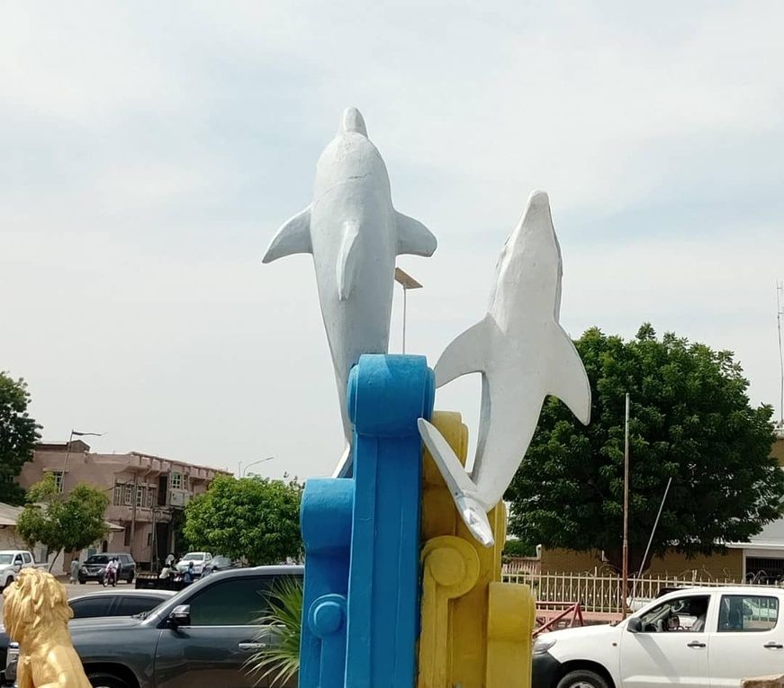 N'Djamena : Que font des dauphins au cœur du Sahel ?