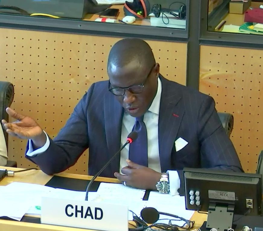 Tchad : l'ambassadeur Ahmad Makaïla nommé représentant permanent auprès de la Confédération Suisse/Genève