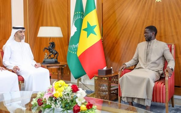 Sénégal - Émirats Arabes Unis : Renforcement du partenariat stratégique autour de l'énergie et de la digitalisation