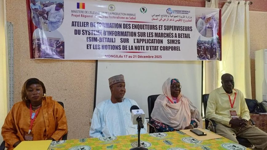 Tchad : au Guéra, atelier de formation des enquêteurs et superviseurs sur l’application SIM2G