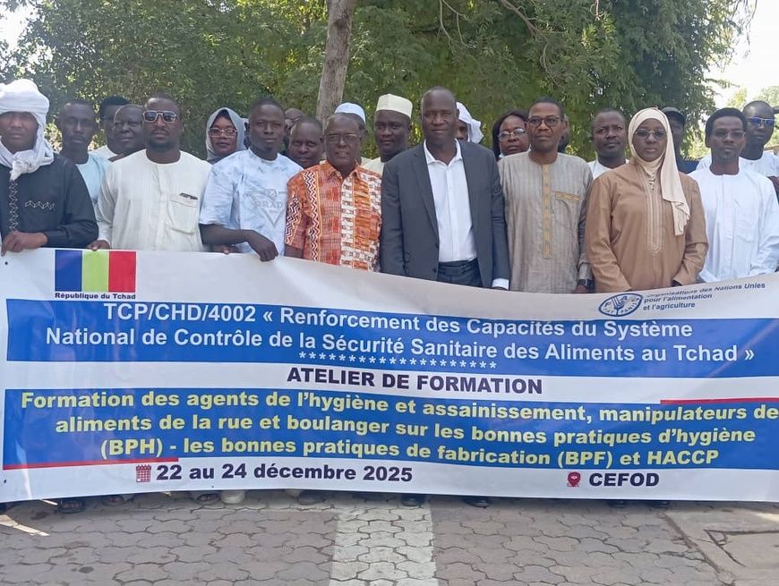 Tchad : la FAO et le ministère de la Santé renforcent la sécurité sanitaire des aliments