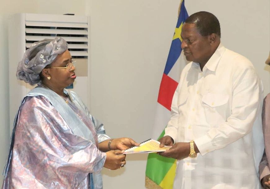 RCA : la mission conjointe d'observation électorale de la diaspora africaine en Europe remet son rapport