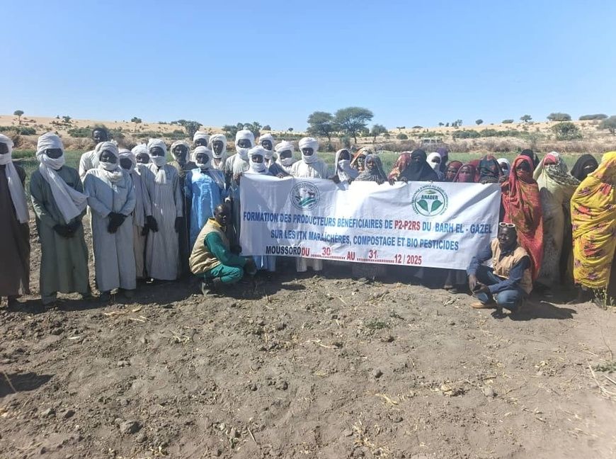 Tchad : renforcement des capacités des producteurs à Moussoro