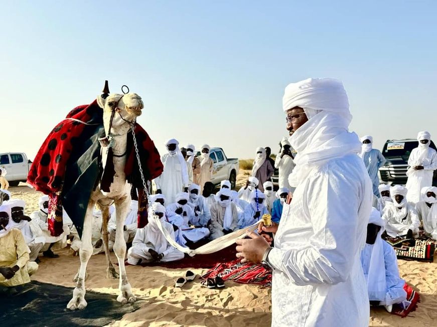 Tchad : le clan Ourda (Donza) offre 100 têtes de dromadaires au Maréchal Mahamat Idriss Deby Itno