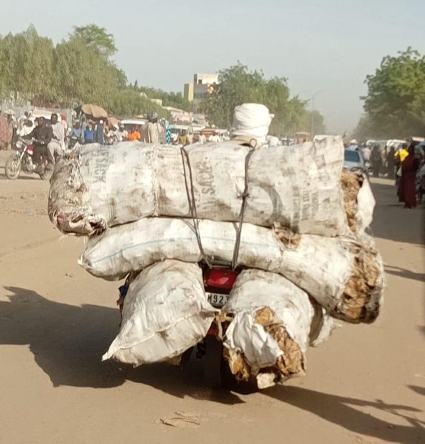 Tchad : transport, le poisson fumé exposé à la poussière et aux mouches