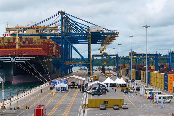 Ports de Douala et Kribi : en 2025, le Tchad détenait 77 % du marché des graines