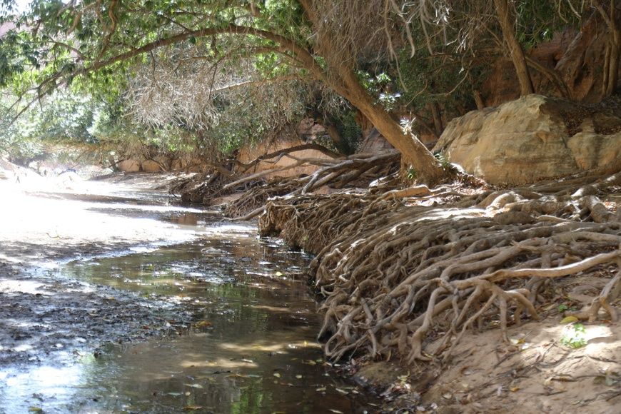 Tchad : un touriste toujours porté disparu après une excursion