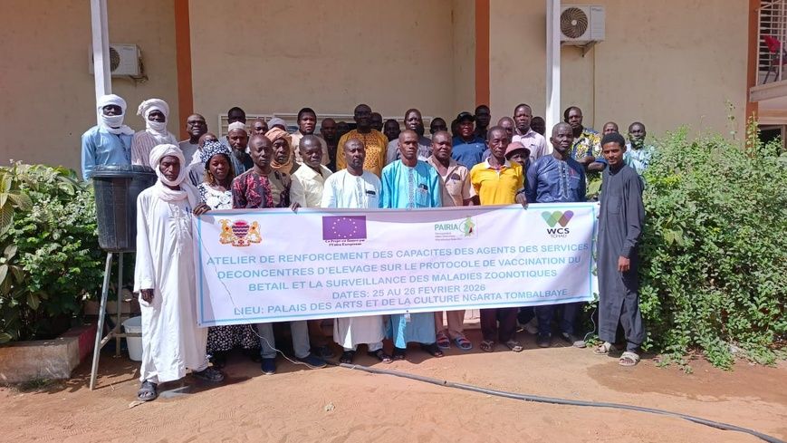 Tchad : les agents de l'élevage du Moyen Chari en formation pour mieux protéger le cheptel