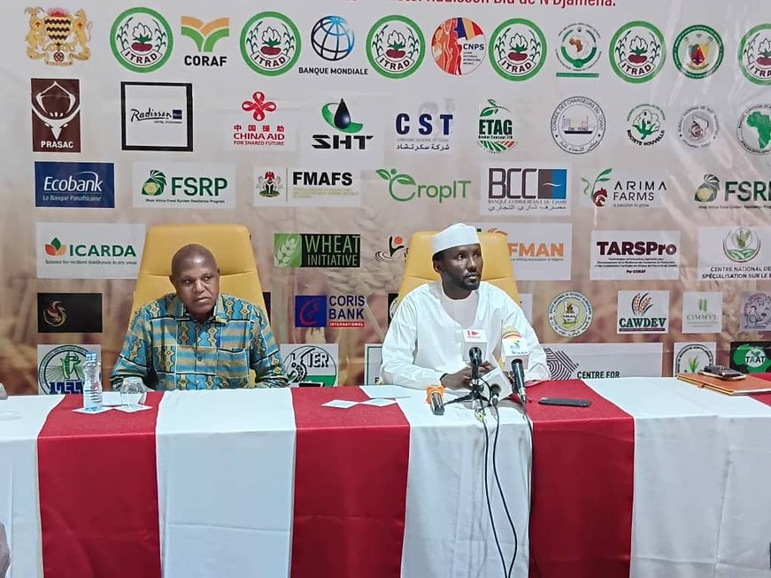 إنجامينا تستعد لاحتضان المؤتمر الإقليمي الثالث حول القمح في غرب ووسط إفريقيا