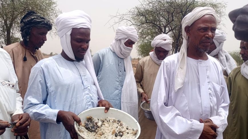 Tchad : un incendie ravage une habitation à Mouli au Guéra et laisse une famille démunie