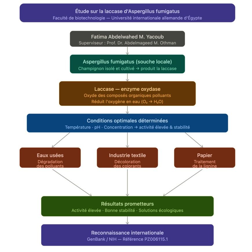Recherche : Fatima Abdelwahed, étudiante tchadienne, met en lumière une enzyme capable de lutter contre la pollution