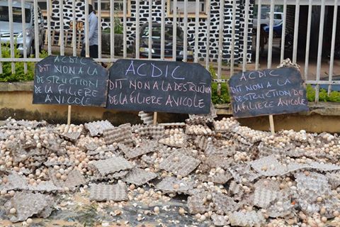 Cameroun : des activistes manifestent avec des œufs pourris à Yaoundé