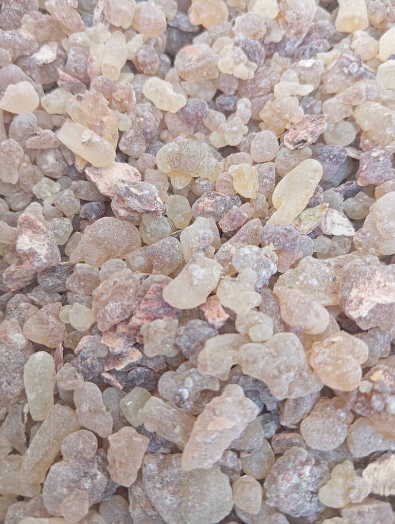 Tchad : les femmes, piliers de la filière gomme arabique