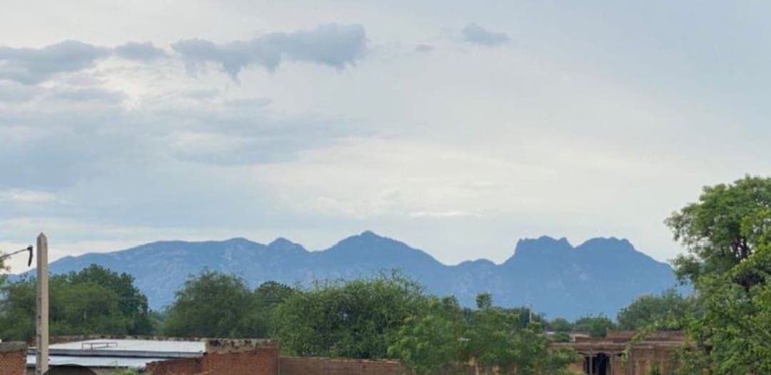 Tchad : arrestation de trois coupeurs de route à Bargangal au Guéra