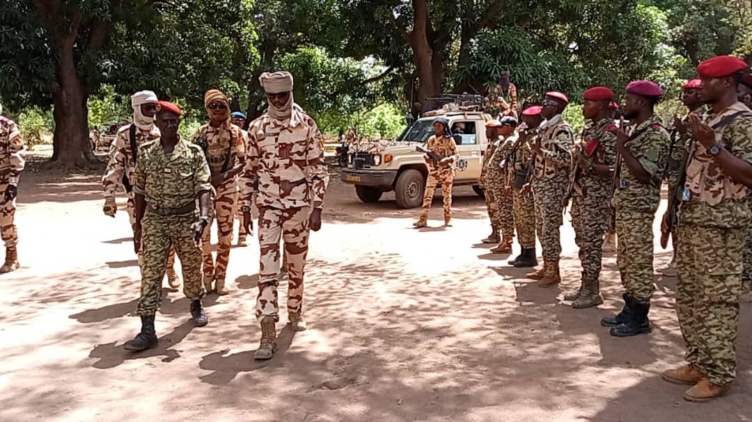 Le BIR du Cameroun et la Force Mixte Tchad-RCA démantèlent un réseau de voleurs de bétail