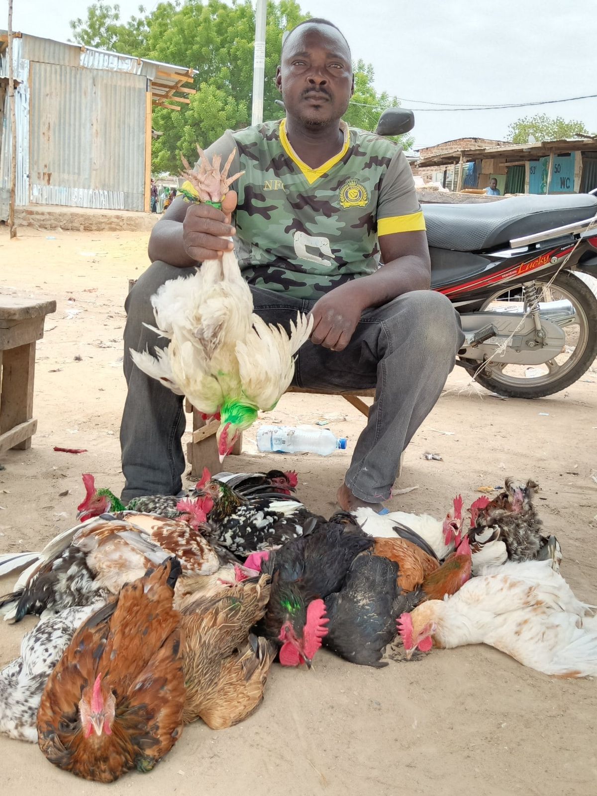 Résilience au marché d'Abena : le quotidien d'un vendeur de volaille