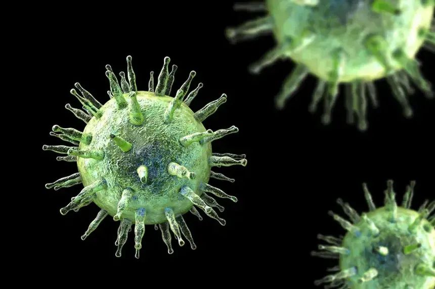 Alerte au Hantavirus : La Côte d'Ivoire Renforce sa Surveillance