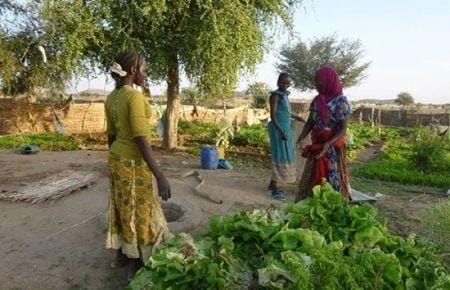 SFI : un prêt de 10 millions de dollars pour booster les PME tchadiennes