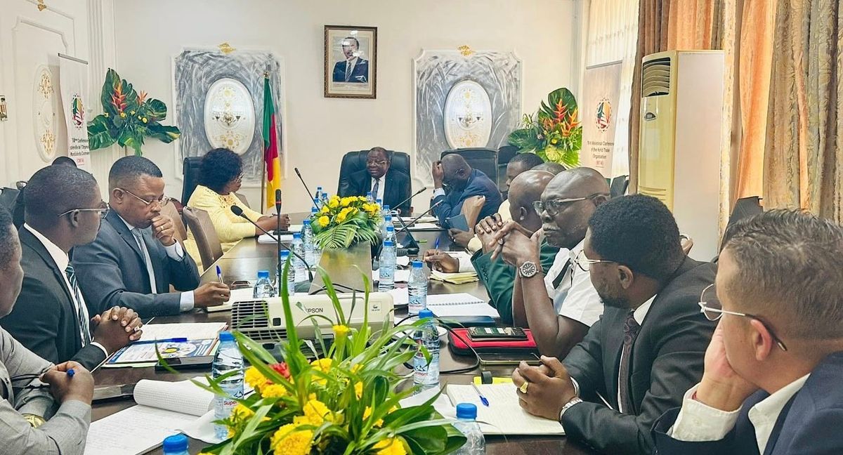 Cameroun : le gouvernement suspend les importations de maïs pour soutenir les producteurs locaux