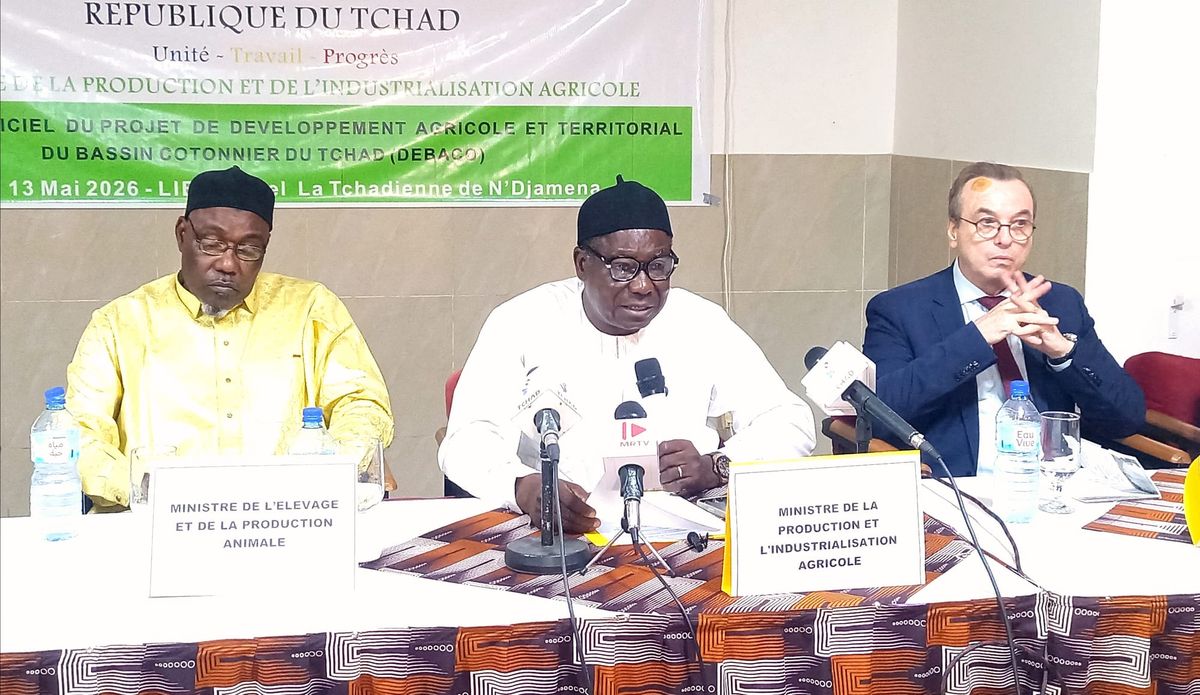 Tchad : lancement du projet DEBACO pour renforcer la filière coton