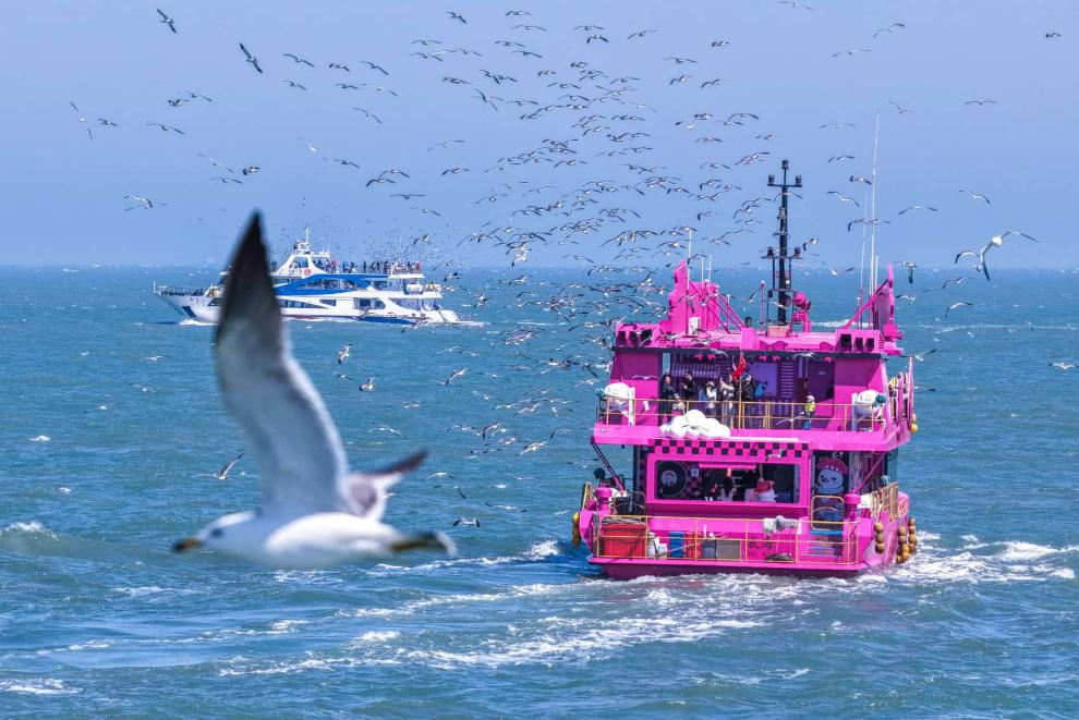 Innovative Marine Strategies Propel China's Coastal Prosperity