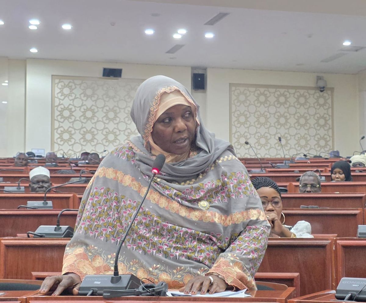 Tchad : réécriture de l'histoire du pays, un débat crucial à l'Assemblée