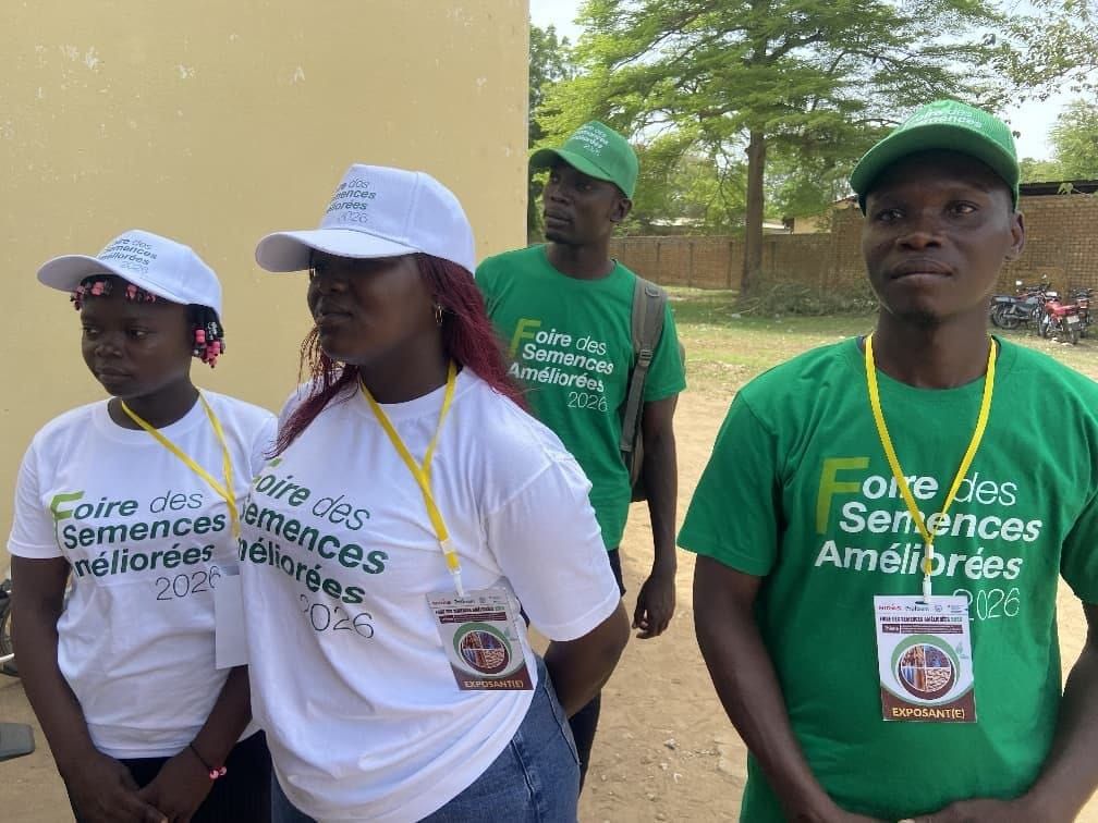 Tchad : à Sarh, la foire semencière mise sur les semences certifiées