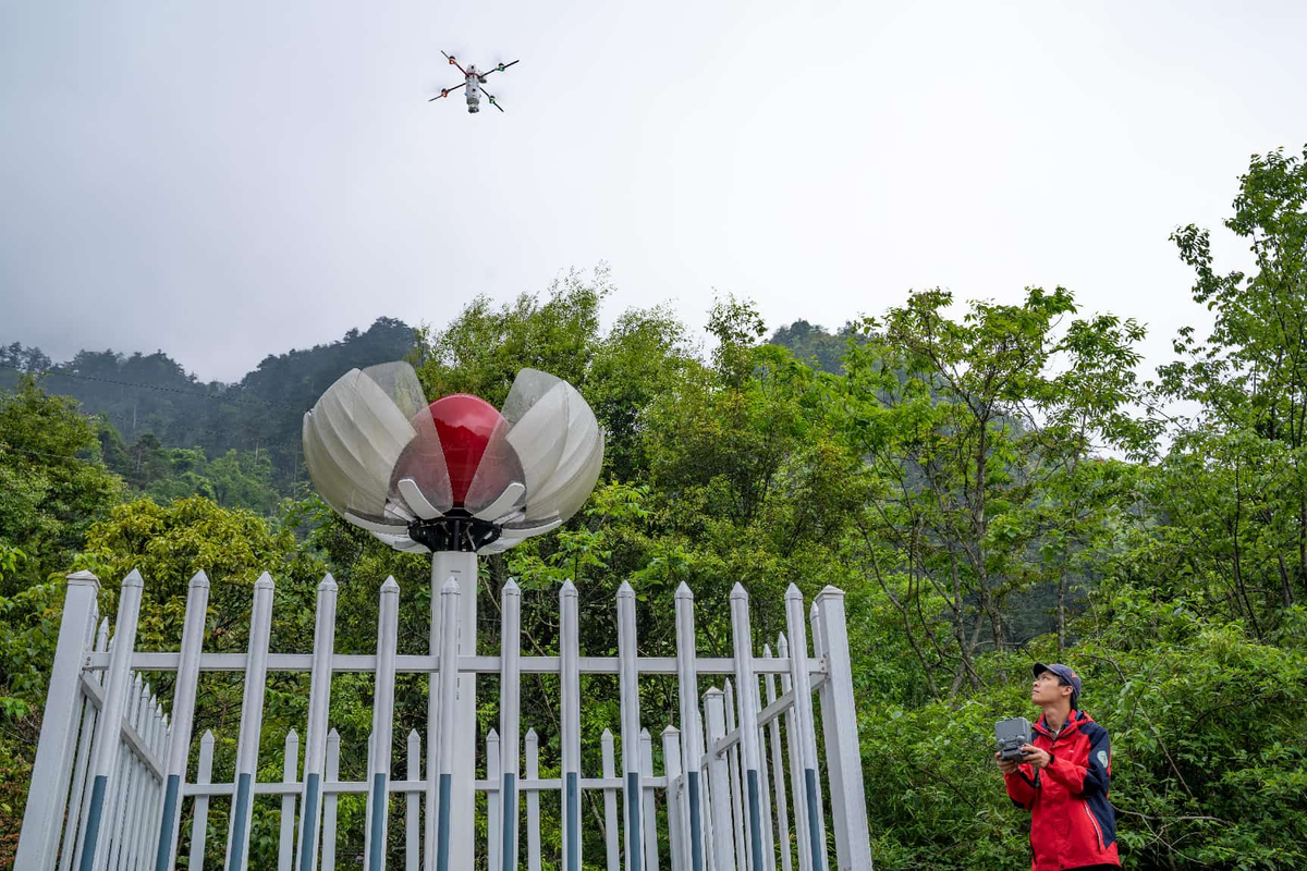 China's Red Lines: A Model for Global Ecological Protection