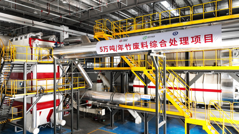 Chizhou's Bamboo Revolution: A Sustainable Model for Green Industry