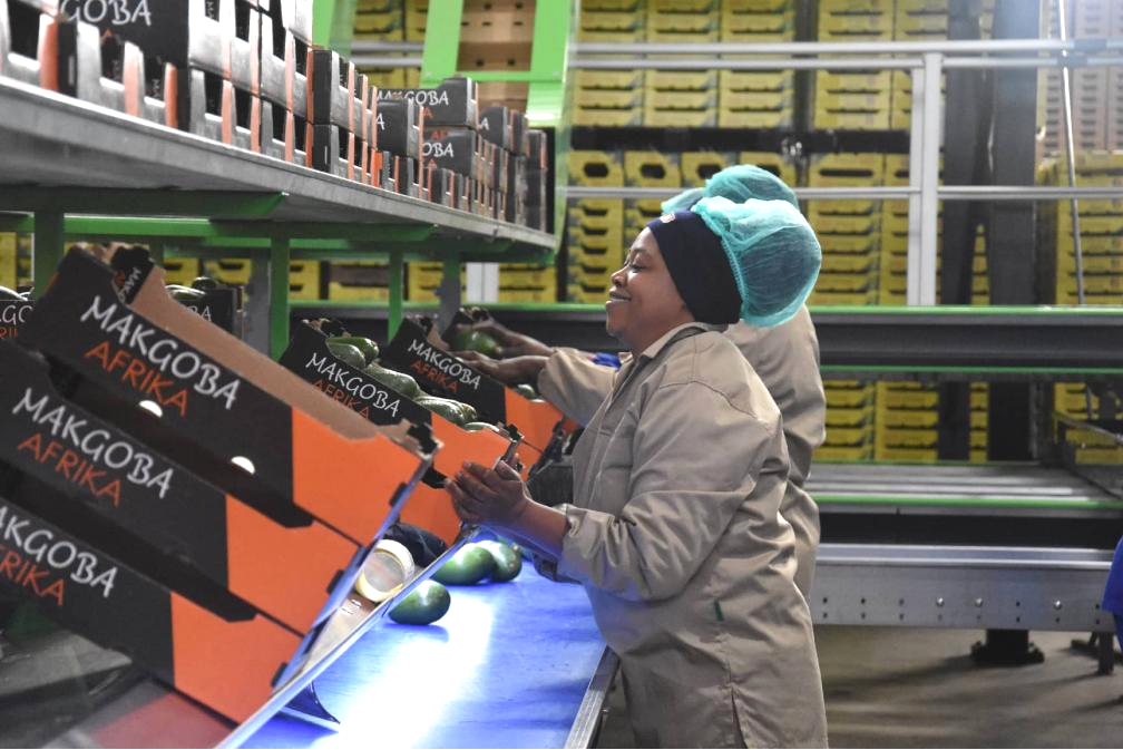 China's Zero-Tariff Policy: A Game Changer for Africa