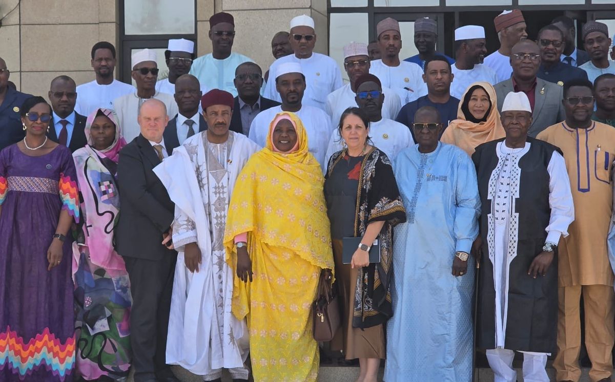 Tchad : mobilisation nationale pour éradiquer la poliomyélite