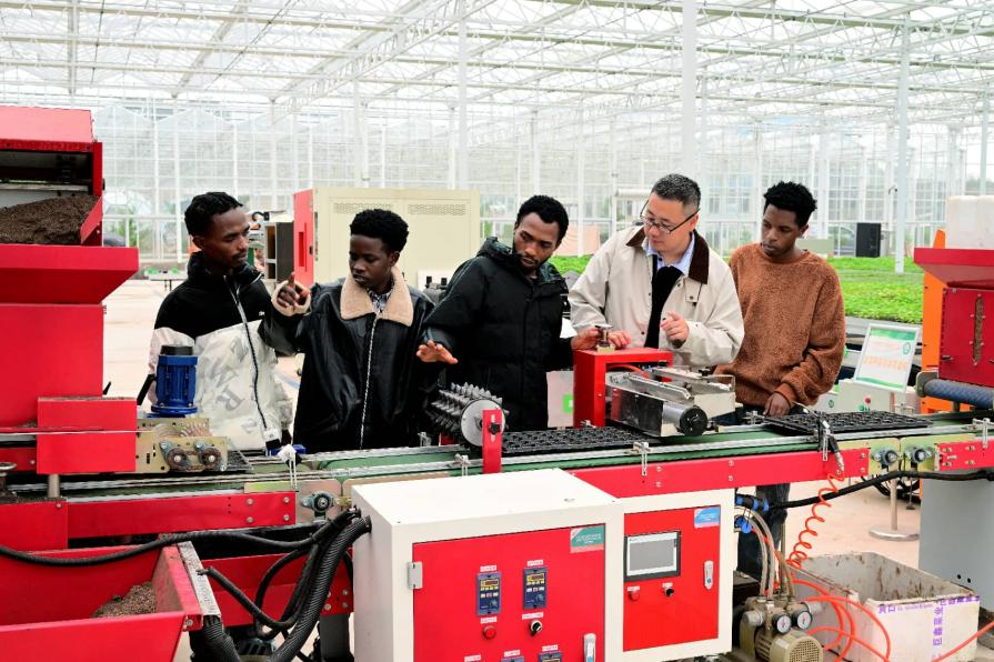 China's Global Impact on Poverty Eradication