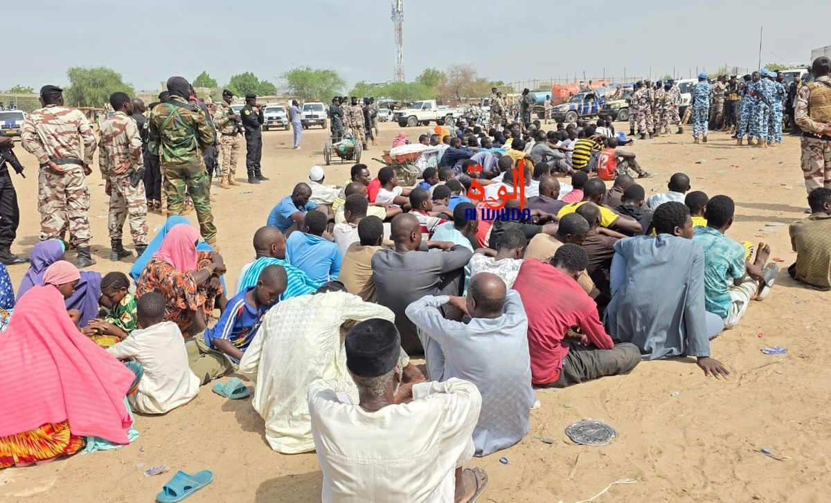 Tchad : 146 ressortissants étrangers interpellés lors d’une opération de sécurité